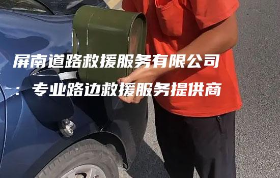 屏南道路救援服务有限公司：专业路边救援服务提供商