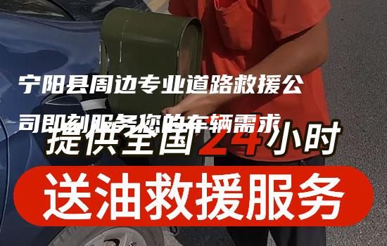 宁阳县周边专业道路救援公司即刻服务您的车辆需求