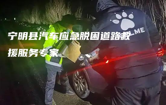 宁明县汽车应急脱困道路救援服务专家