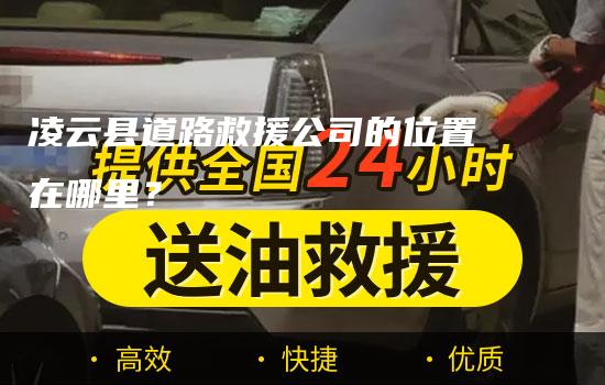 凌云县道路救援公司的位置在哪里？